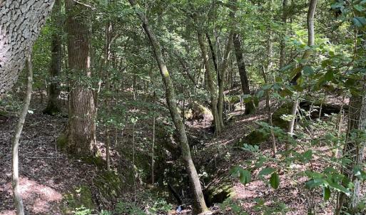 Photo #32 of SOLD property in Off Colonial Trail W, Spring Grove, VA 47.6 acres