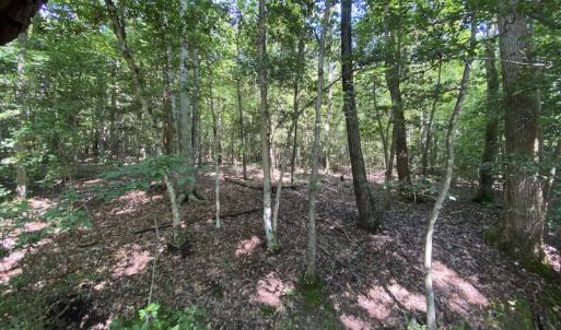 Photo #33 of SOLD property in Off Colonial Trail W, Spring Grove, VA 47.6 acres