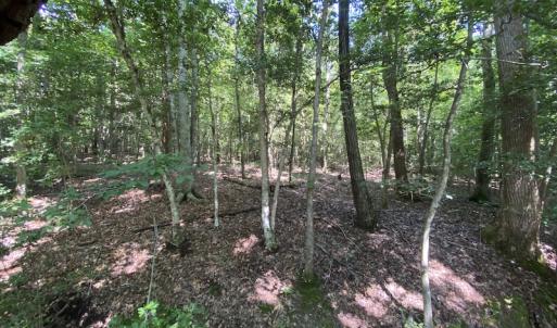 Photo #33 of SOLD property in Off Colonial Trail W, Spring Grove, VA 47.6 acres