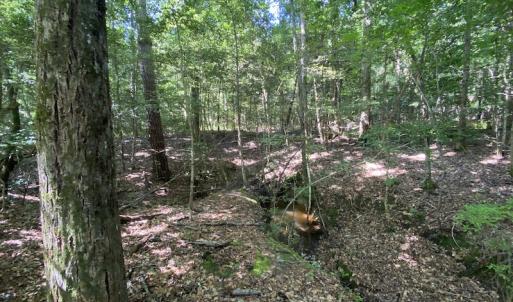 Photo #34 of SOLD property in Off Colonial Trail W, Spring Grove, VA 47.6 acres