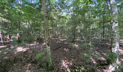 Photo #35 of SOLD property in Off Colonial Trail W, Spring Grove, VA 47.6 acres