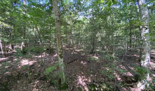 Photo #35 of SOLD property in Off Colonial Trail W, Spring Grove, VA 47.6 acres