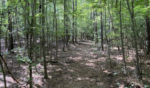 Photo #36 of SOLD property in Off Colonial Trail W, Spring Grove, VA 47.6 acres