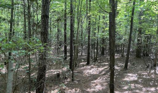 Photo #37 of SOLD property in Off Colonial Trail W, Spring Grove, VA 47.6 acres