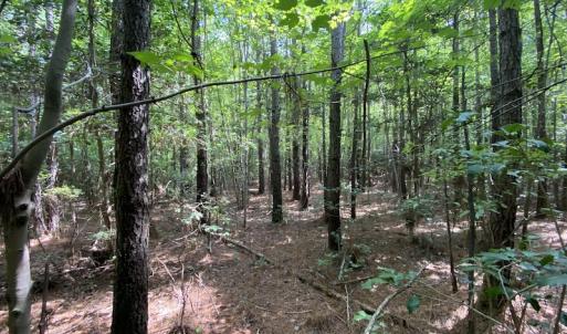 Photo #38 of SOLD property in Off Colonial Trail W, Spring Grove, VA 47.6 acres