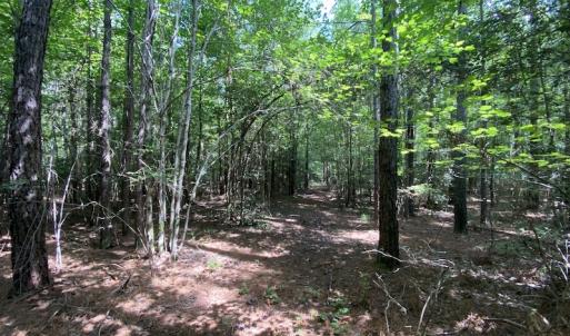 Photo #39 of SOLD property in Off Colonial Trail W, Spring Grove, VA 47.6 acres