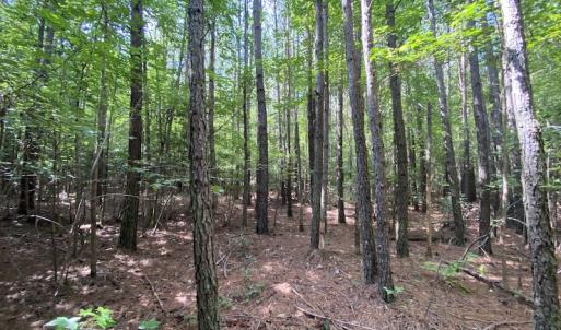 Photo #40 of SOLD property in Off Colonial Trail W, Spring Grove, VA 47.6 acres