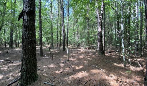 Photo #41 of SOLD property in Off Colonial Trail W, Spring Grove, VA 47.6 acres