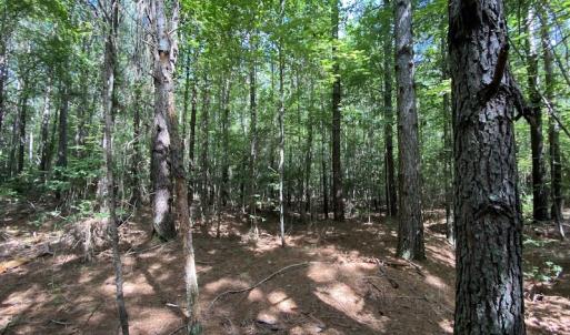Photo #42 of SOLD property in Off Colonial Trail W, Spring Grove, VA 47.6 acres