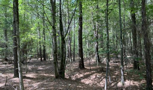 Photo #44 of SOLD property in Off Colonial Trail W, Spring Grove, VA 47.6 acres