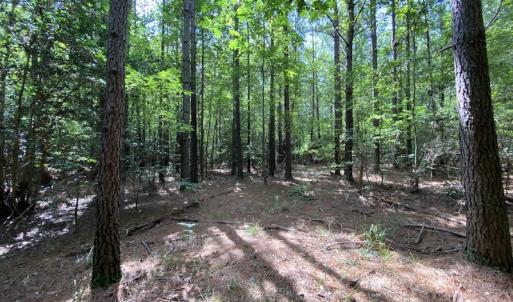 Photo #45 of SOLD property in Off Colonial Trail W, Spring Grove, VA 47.6 acres