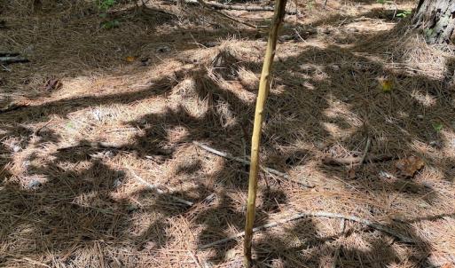 Photo #46 of SOLD property in Off Colonial Trail W, Spring Grove, VA 47.6 acres