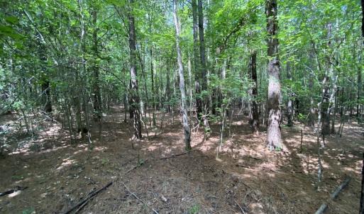 Photo #47 of SOLD property in Off Colonial Trail W, Spring Grove, VA 47.6 acres