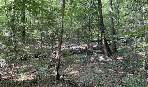 Photo #23 of SOLD property in 10767 Colonial Trail W, Spring Grove, VA 3.7 acres