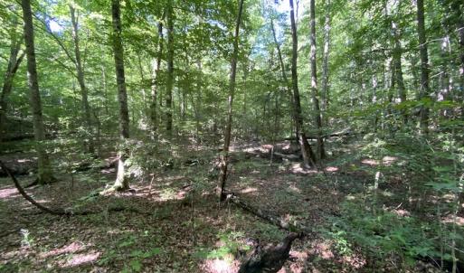 Photo #24 of SOLD property in 10767 Colonial Trail W, Spring Grove, VA 3.7 acres