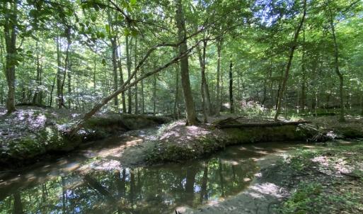 Photo #25 of SOLD property in 10767 Colonial Trail W, Spring Grove, VA 3.7 acres