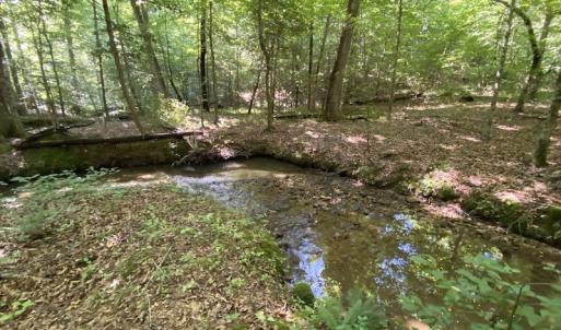 Photo #26 of SOLD property in 10767 Colonial Trail W, Spring Grove, VA 3.7 acres