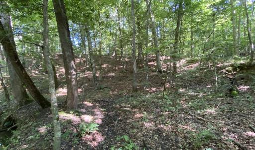 Photo #28 of SOLD property in 10767 Colonial Trail W, Spring Grove, VA 3.7 acres