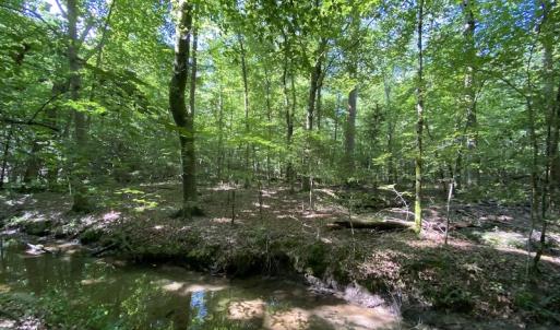 Photo #29 of SOLD property in 10767 Colonial Trail W, Spring Grove, VA 3.7 acres
