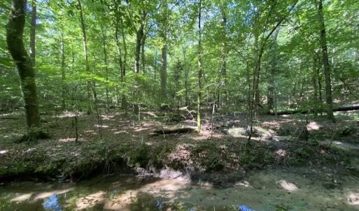 Photo #30 of SOLD property in 10767 Colonial Trail W, Spring Grove, VA 3.7 acres