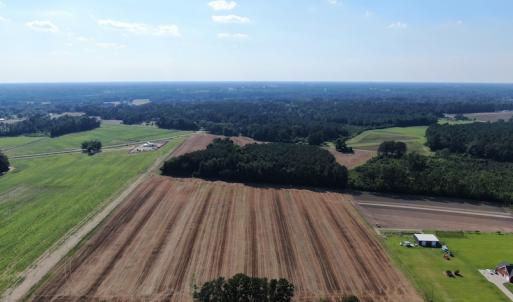 Photo #2 of SOLD property in OFF NC HWY 41, Fairmont, NC 41.0 acres