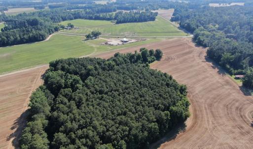 Photo #3 of SOLD property in OFF NC HWY 41, Fairmont, NC 41.0 acres