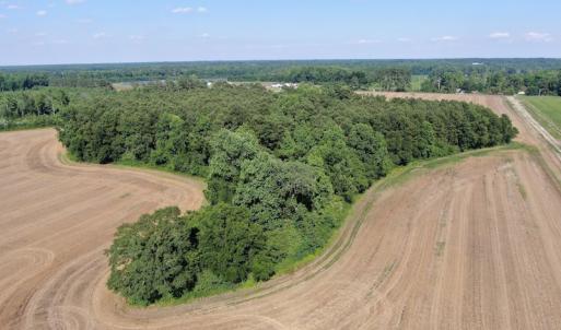 Photo #8 of SOLD property in OFF NC HWY 41, Fairmont, NC 41.0 acres