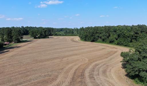 Photo #9 of SOLD property in OFF NC HWY 41, Fairmont, NC 41.0 acres
