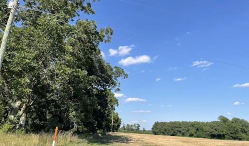 Photo #11 of SOLD property in OFF NC HWY 41, Fairmont, NC 41.0 acres