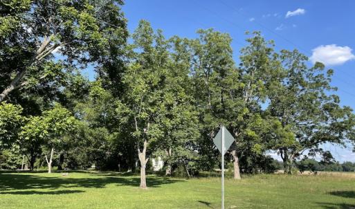 Photo #12 of SOLD property in OFF NC HWY 41, Fairmont, NC 41.0 acres