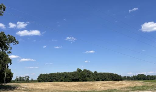 Photo #13 of SOLD property in OFF NC HWY 41, Fairmont, NC 41.0 acres