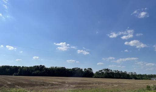 Photo #14 of SOLD property in OFF NC HWY 41, Fairmont, NC 41.0 acres