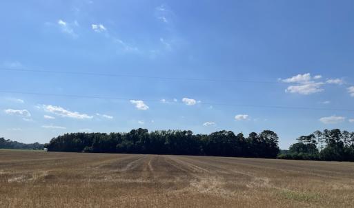 Photo #15 of SOLD property in OFF NC HWY 41, Fairmont, NC 41.0 acres