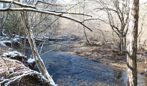 Photo #4 of SOLD property in 426 Davis Road, Atkins, VA 43.7 acres