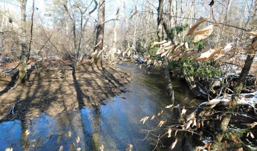 Photo #5 of SOLD property in 426 Davis Road, Atkins, VA 43.7 acres