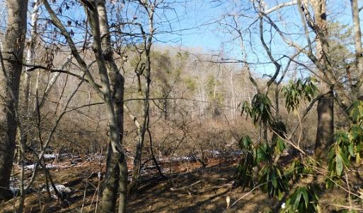 Photo #6 of SOLD property in 426 Davis Road, Atkins, VA 43.7 acres
