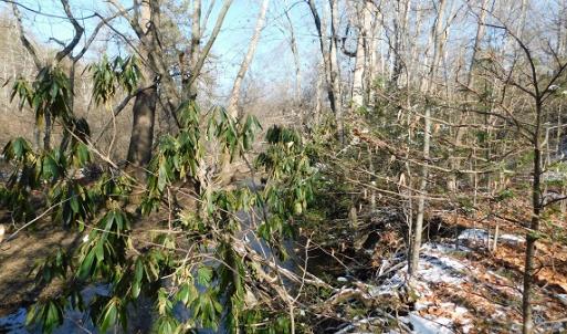 Photo #7 of SOLD property in 426 Davis Road, Atkins, VA 43.7 acres