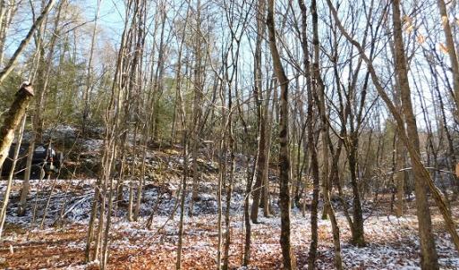 Photo #8 of SOLD property in 426 Davis Road, Atkins, VA 43.7 acres