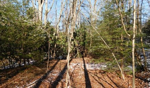 Photo #9 of SOLD property in 426 Davis Road, Atkins, VA 43.7 acres