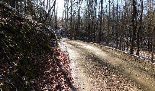 Photo #10 of SOLD property in 426 Davis Road, Atkins, VA 43.7 acres