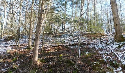 Photo #11 of SOLD property in 426 Davis Road, Atkins, VA 43.7 acres