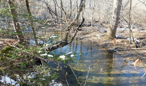 Photo #1 of SOLD property in 426 Davis Road, Atkins, VA 43.7 acres