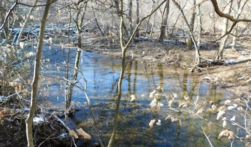 Photo #2 of SOLD property in 426 Davis Road, Atkins, VA 43.7 acres