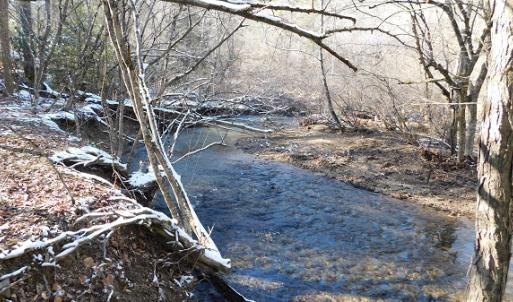 Photo #3 of SOLD property in 426 Davis Road, Atkins, VA 43.7 acres