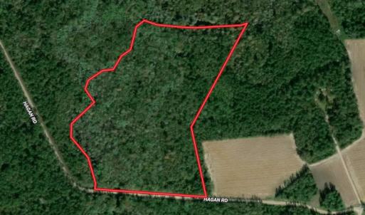Photo #1 of SOLD property in Off Hagan Road, Loris, SC 24.0 acres