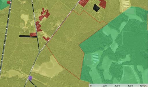 Photo #19 of SOLD property in N. Turnpike Road, Wagram, NC 179.0 acres