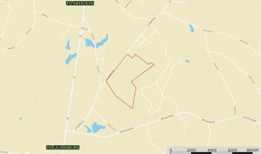 Photo #18 of SOLD property in N. Turnpike Road, Wagram, NC 179.0 acres