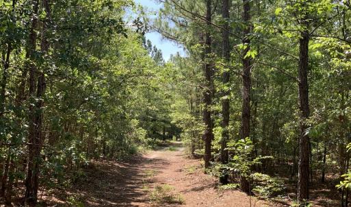 Photo #2 of SOLD property in N. Turnpike Road, Wagram, NC 179.0 acres