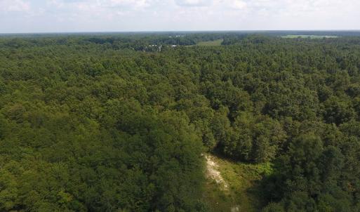 Photo #13 of SOLD property in N. Turnpike Road, Wagram, NC 179.0 acres