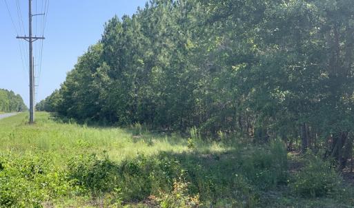 Photo #14 of SOLD property in N. Turnpike Road, Wagram, NC 179.0 acres